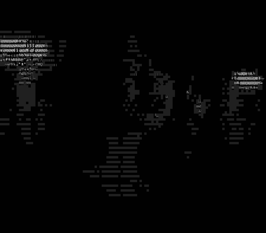 Portrait → terminal-style ASCII portrait ASCII art