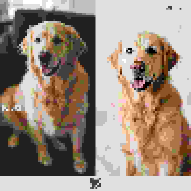Photo d'animal → pixel art cadeau encadré Art pixelisé